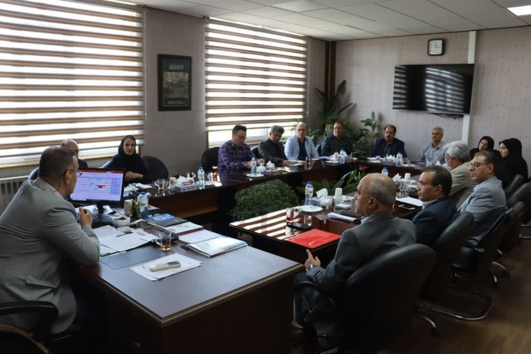 نشست کارگروه استانی حمایت از بیماران خاص و صعب‌العلاج برگزار شد